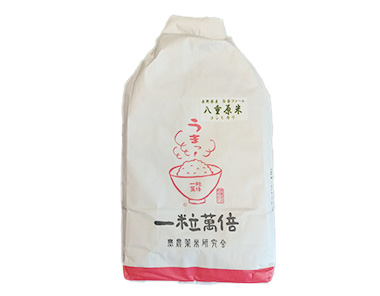 白倉ファーム長野県産八重原米特別栽培米コシヒカリ